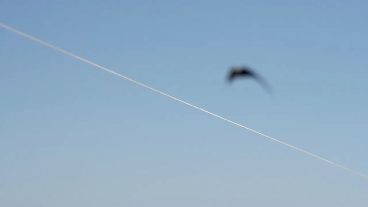 Manjha Alternatives: Safer Coated Lines for Responsible Kite Fighting