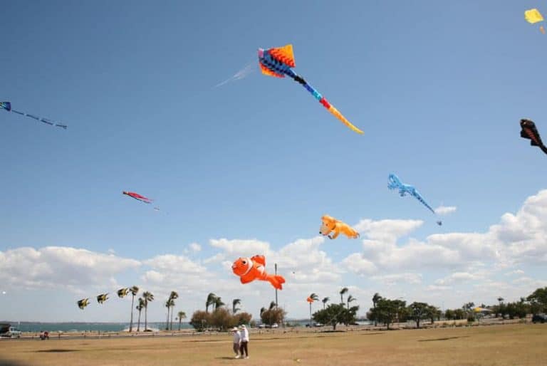 geometry kite in nature