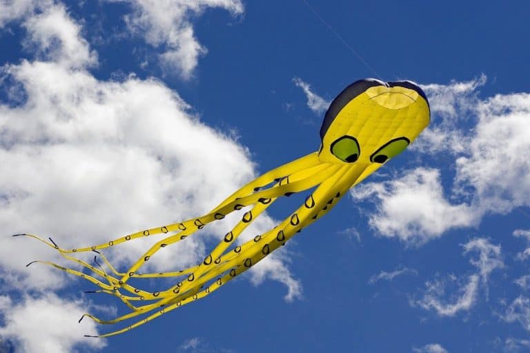 4 Reasons Why Kite Flying Can Be Dangerous