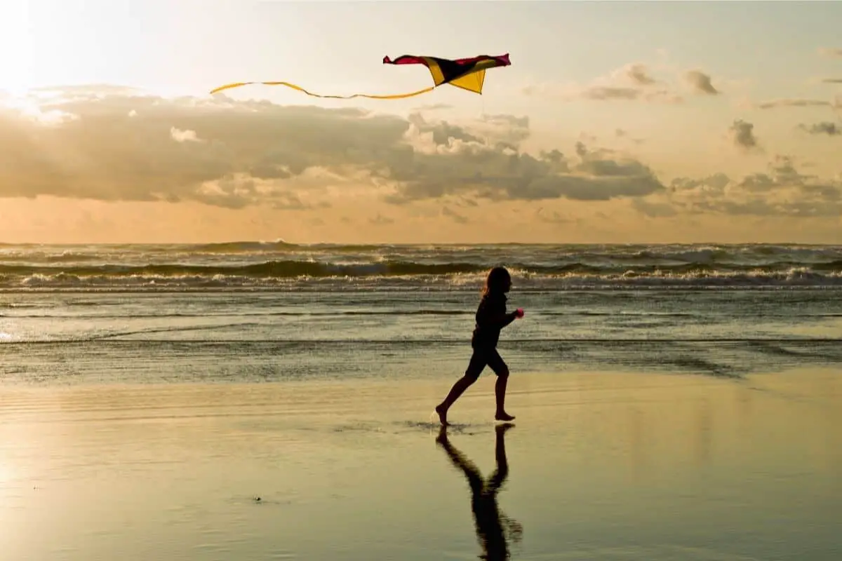 Person flying a kite on a beach