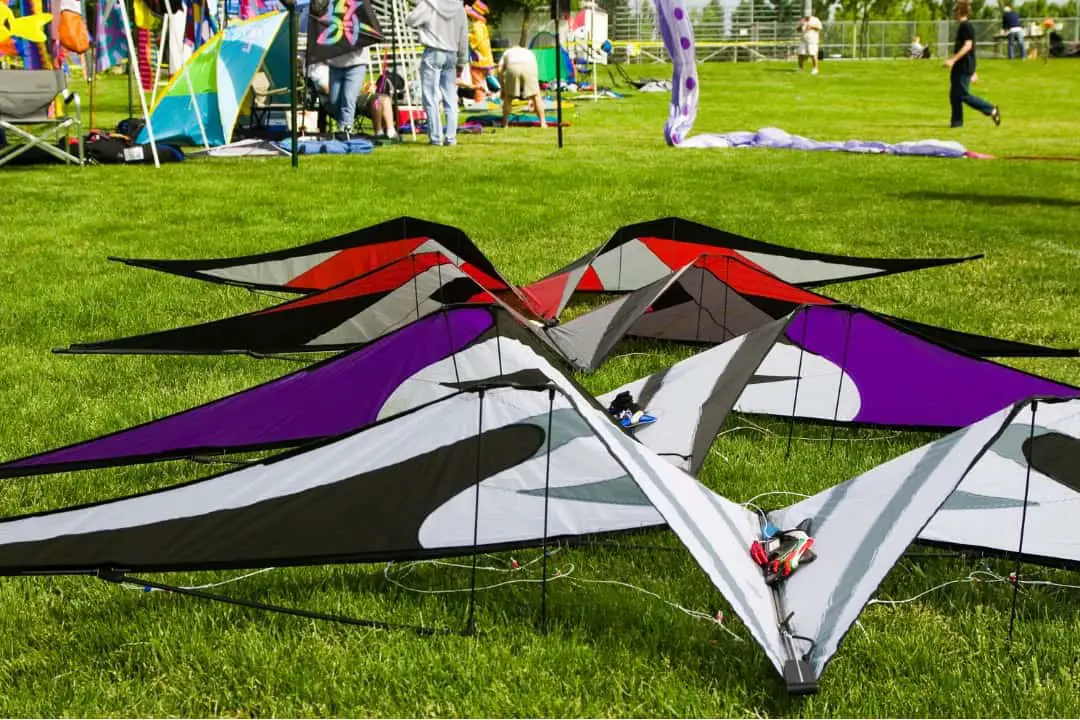 Kites on ground for a competition
