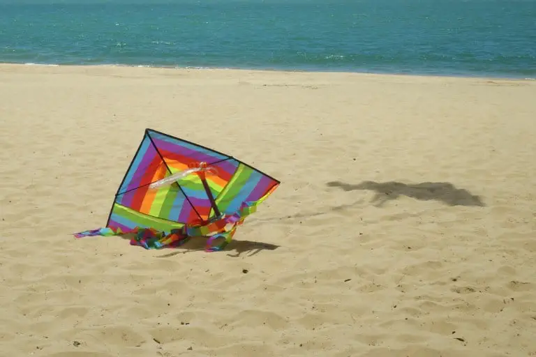 How To Clean Your Kite (3 Easy Steps)