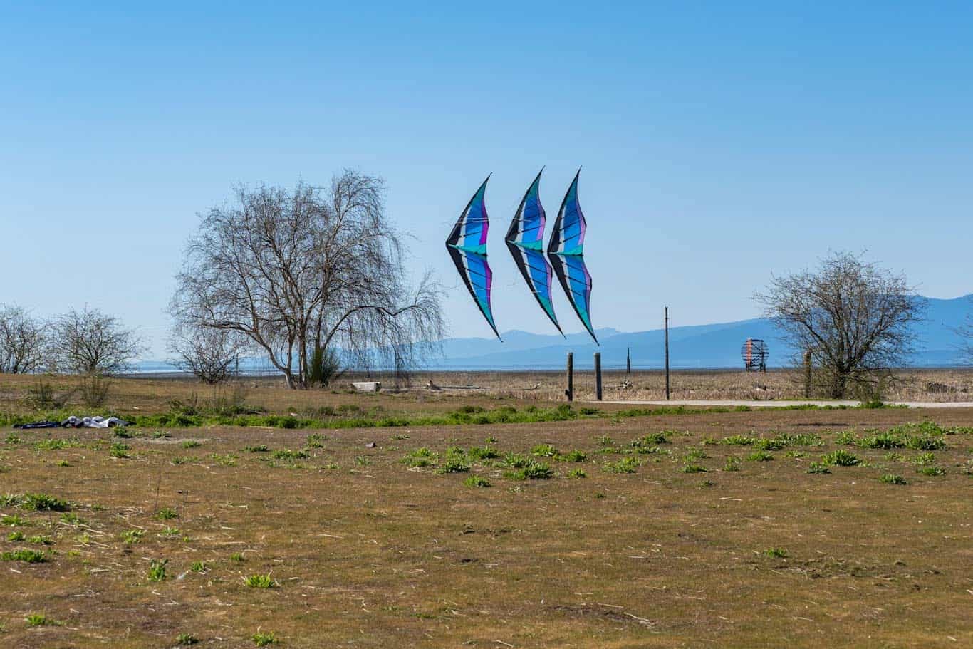 Large triple kite in blue over grass field