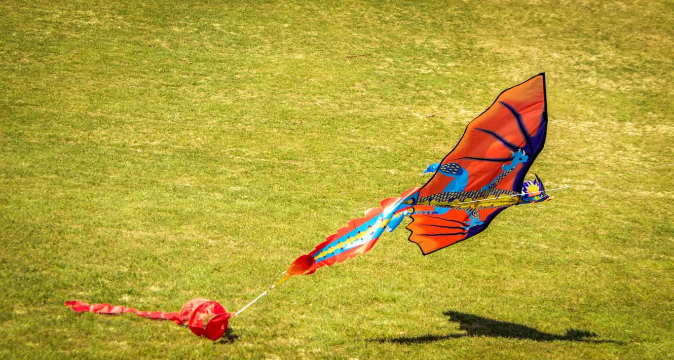 Red kite crashing on grass