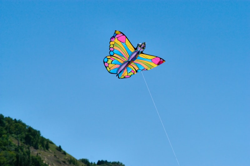 Butterfly shaped kite without tail
