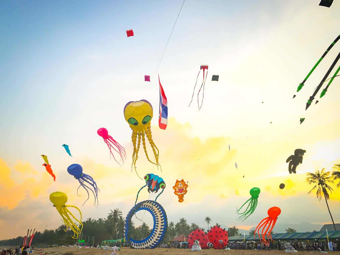 Multiple sizes and shapes of kites flying on beach