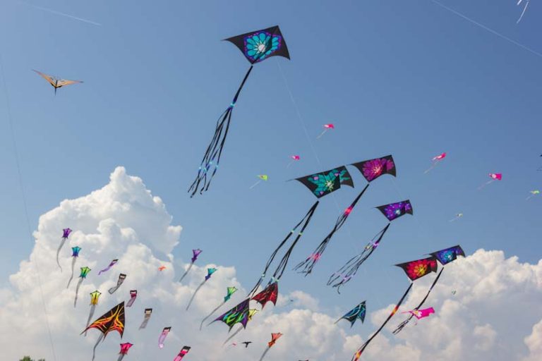 Everything You Need To Know About Delta Kites (Including How High They Fly)