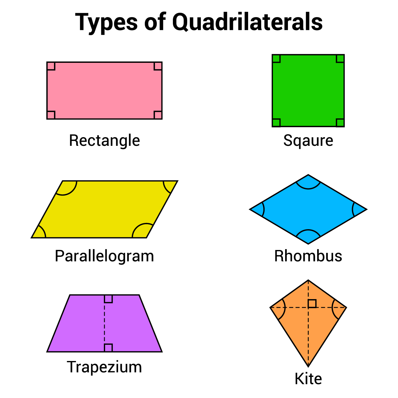 Why Is A Kite Not A Parallelogram? – Kiting Planet