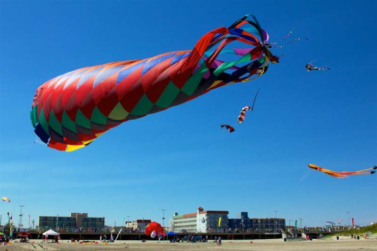 Most Expensive Kite In The World
