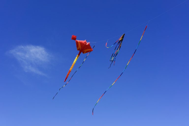 8 Different Types Of Kites Explained