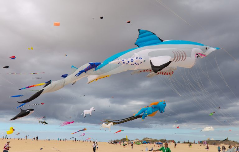 The 8 Best Shapes For Kites: What Is The Best Shape For A Kite?