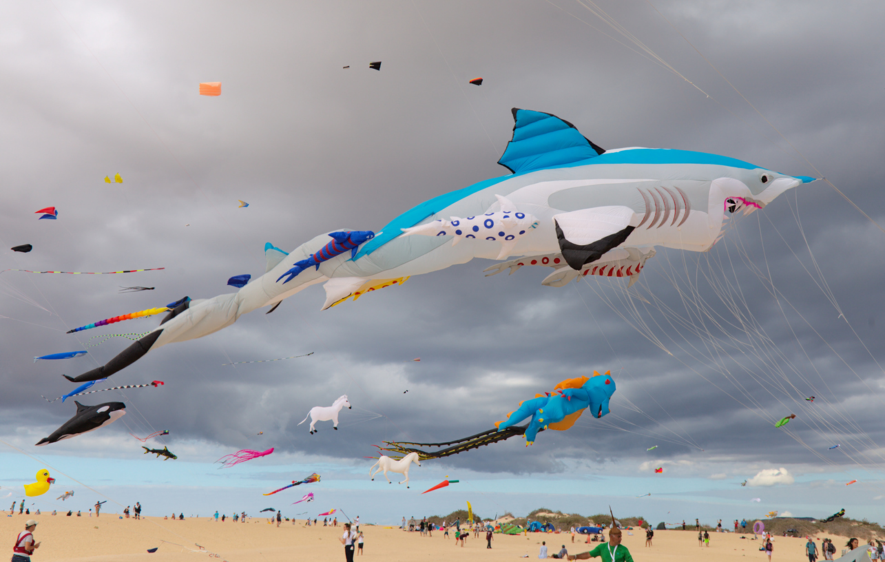 Shark kite with other kites around it