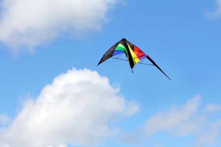 The 7 Best Stunt Kites